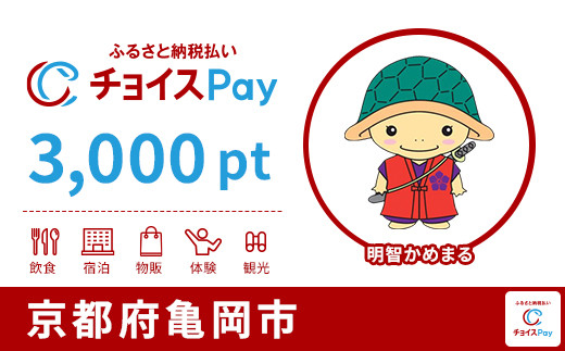 
            亀岡市チョイスPay 3,000pt【会員限定のお礼の品】
          