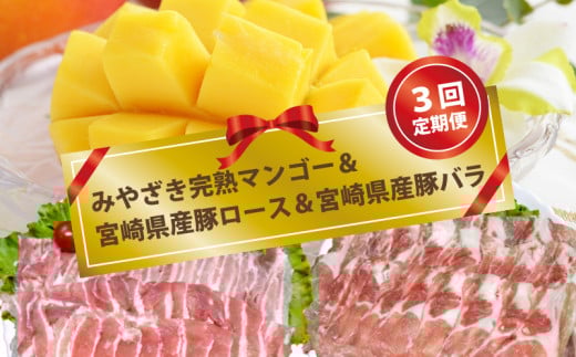 【3回定期便】みやざき完熟マンゴー(ご家庭用)＆宮崎県産豚肉ロース＆バラ肉【先行予約】＜4-14＞　