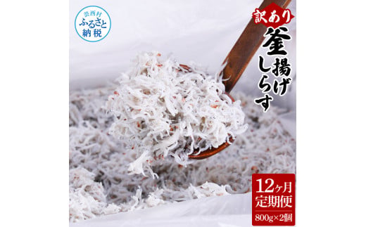 【CF-R5cbs】t205mmk　〈12ヶ月定期便〉訳あり 釜揚げシラス 800g×2個 定期便 定期コース 12ヶ月 しらす シラス 釜揚げ 新鮮 塩分控えめ 離乳食 わけあり ワケあり 不揃い しらす丼 海鮮丼 お茶漬け