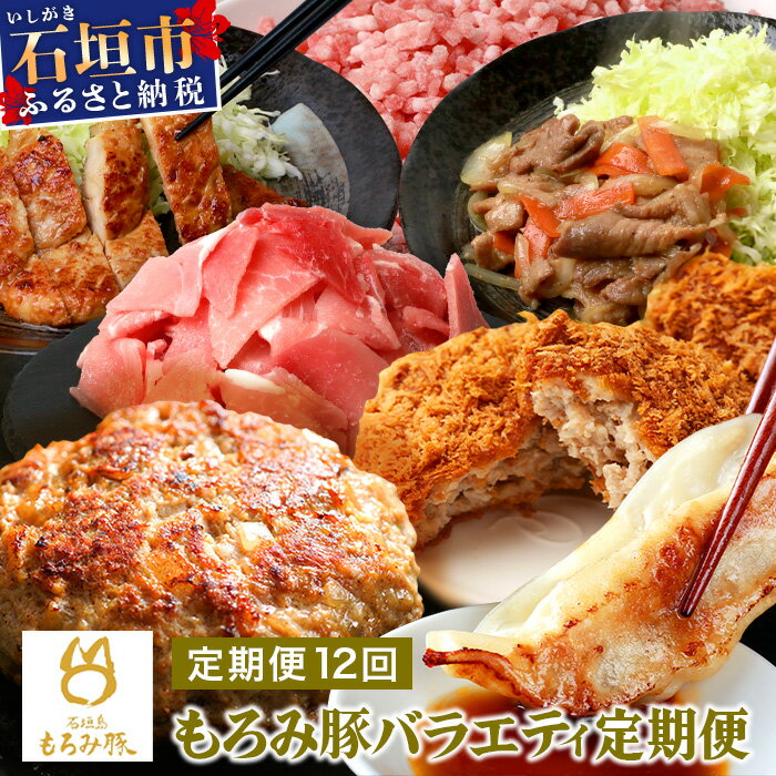 【ふるさと納税】定期便 12回配送 もろみ豚 バラエティ定期便 ｜ 12ヵ月 精肉 細切れ こま切れ 小間切れ 切り落とし ミンチ ハンバーグ メンチカツ 餃子 メンチ 豚肉 肉 惣菜 総菜 定期 頒布会 もろみ ぎょうざ 揚げ物 みそ漬け 味噌漬け おかず 送料無料 AH-023