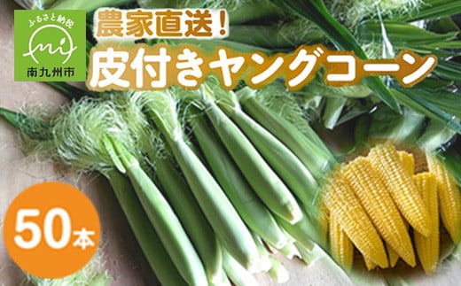 
            057-02 皮付きヤングコーン50本
          