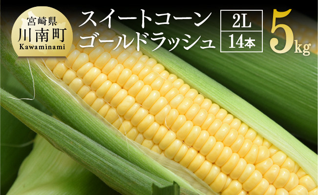 
            【令和7年発送】朝どれ！守部さんちのゴールドラッシュ (2L)5kg【 先行予約 数量限定 期間限定 とうもろこし スイートコーン トウモロコシ スィートコーン 令和7年発送 】
          