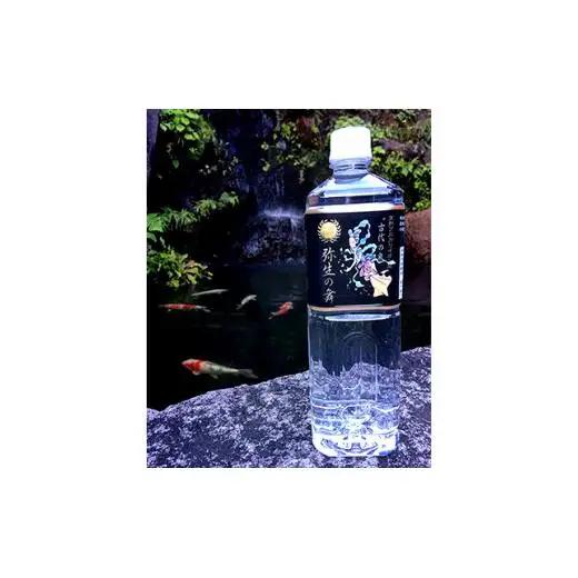 【6ヶ月定期便】奇跡の飲む温泉水「真木温泉 弥生の舞」　飲泉力1000ml 10本入り