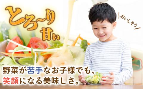 【6回定期便】スムージー専門店が作った「美味しすぎるドレッシング」 6本セット （玉ねぎ・人参・ごぼう 各300ml）【ビタミン・スタンド】 [OAK005] / 野菜ドレッシング サラダ 調味料 ベ