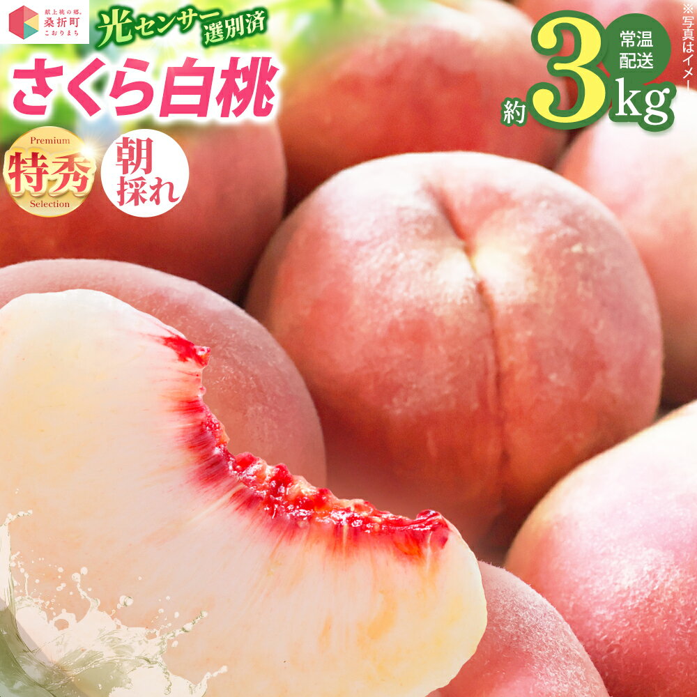 【ふるさと納税】もも【さくら・2026年産】特秀3kg（8〜11玉）桑折町振興公社 桃 ／ もも モモ 果物 桃 さくら桃 白桃 フルーツ 大容量 3kg 特秀品 高品質 果汁たっぷり やわらかい 甘い果物 家庭用 贈答用 夏フルーツ 季節限定 お取り寄せフルーツ 新鮮 【07301-0187】
