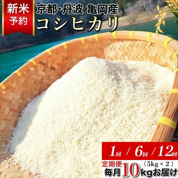 【ふるさと納税】【令和8年産 新米 先行予約】米 定期便 10kg (5kg×2) 1回 6回 12回 京都丹波産 コシヒカリ 佐伯の里の源流米 希少 産地直送 白米 10キロ (5キロ×2) 1ヶ月 6ヶ月 12ヶ月 こしひかり