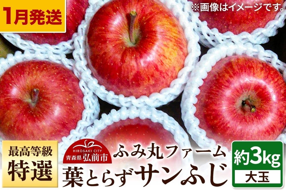 
                  【寄附金額見直しました】【26年1月～発送】りんご 最高等級「特選」大玉 葉とらず サンふじ 約3kg 糖度14度以上 林檎 リンゴ 果物 くだもの フルーツ 青森
                