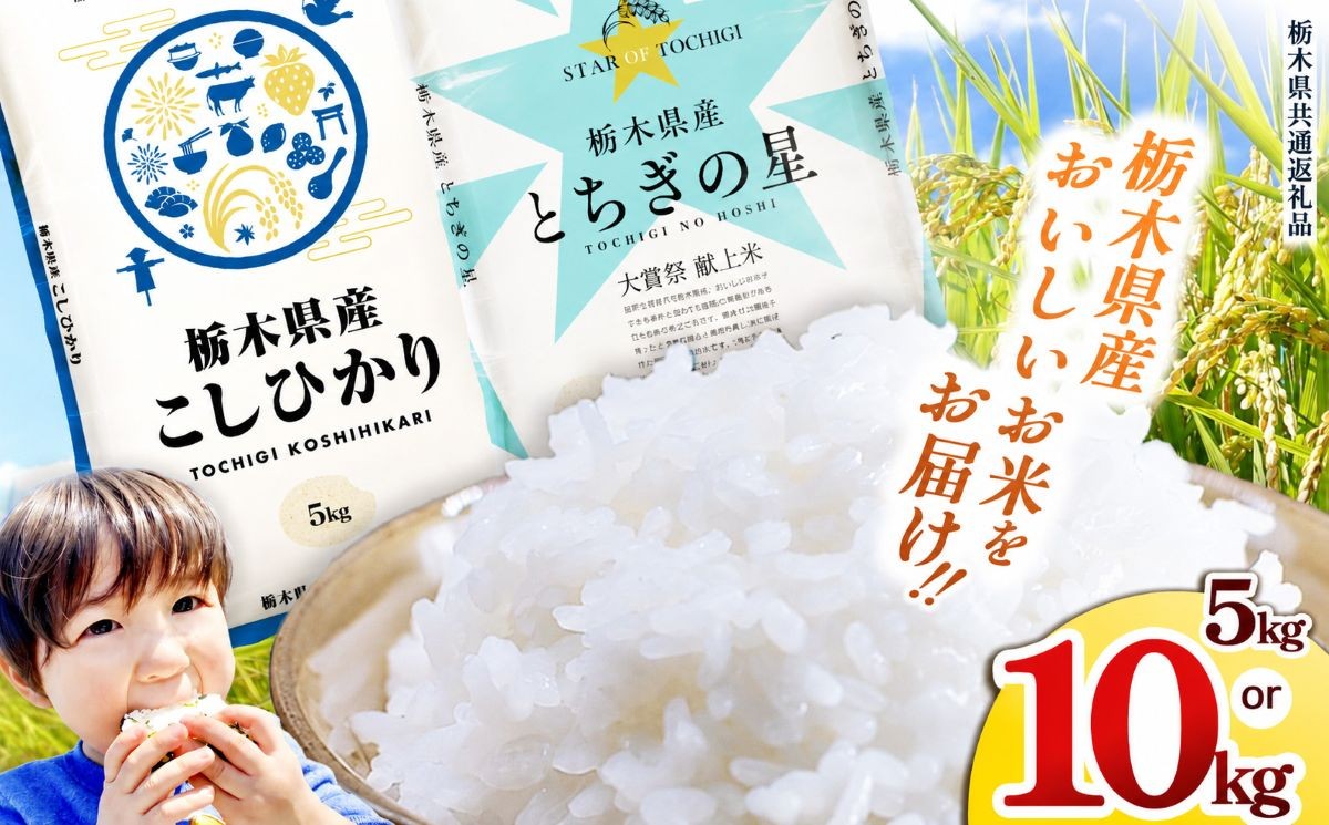 
                  選べる お米 栃木県産 こしひかり or とちぎの星 令和7年 | 5kg 10kg 栃木県 矢板市 【栃木県共通返礼品】 
                