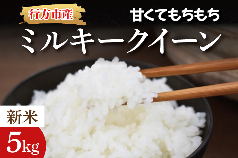 ★令和8年産 新米★甘くてもちもち ミルキークイーン 精米5kg｜米 お米 こめ ミルキークイーン 数量限定 令和8年産 茨城県 行方市 人気 送料無料(BR-2-1)