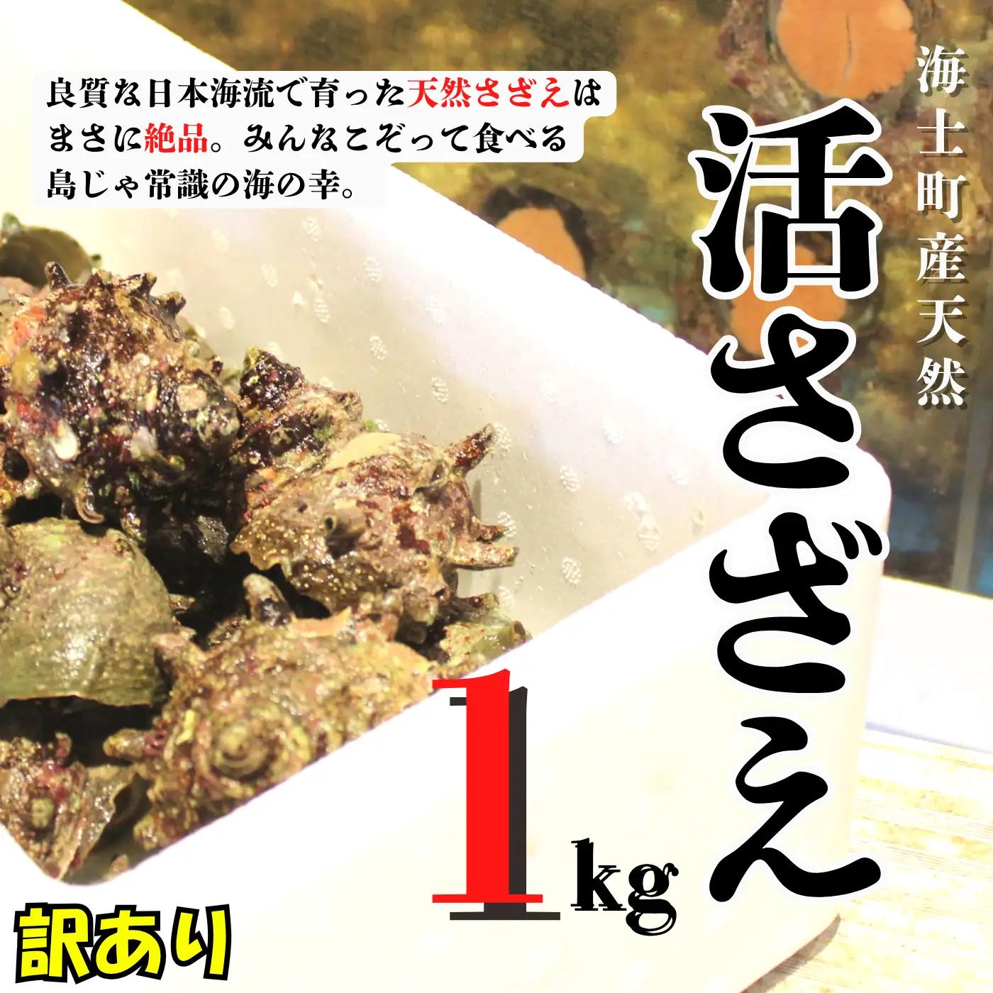 訳あり 海士町産 天然活サザエ 1kg 10個前後 サザエ
