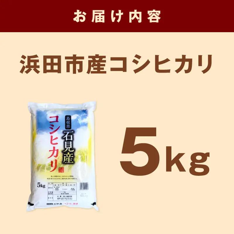 浜田市産コシヒカリ5kg(5kg×1袋) 【197_1967】