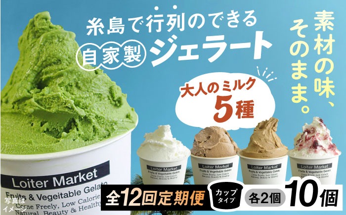 ジェラート アイス 【全12回定期便】糸島で行列のできる アイスクリーム 屋 ジェラート カップ 10個 セット！ 大人の味 5種類 × 各2個 ( ミルク , 抹茶 , ほうじ茶 , カフェオレ , ブルーベリーヨーグルト ) 糸島市 / LoiterMarket ロイターマーケット アイスクリーム  [AGD022]