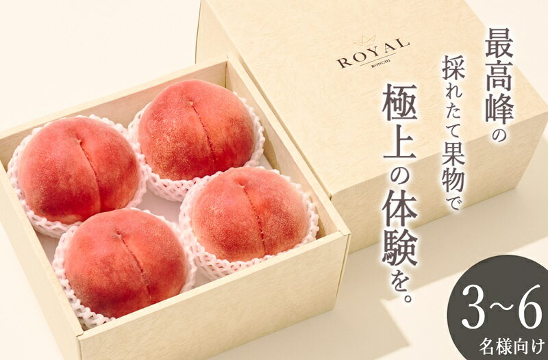 【ふるさと納税】 もも 甲州市産 大玉 桃 4個入り 約1.5kg 果物 フルーツ 桃 くだもの 2025年発送 白鳳系 白桃系 果実 産地直送 数量限定 期間限定 6月 7月 8月 発送 自然農法 山梨 甲州市 （BNC） 【B18-110】