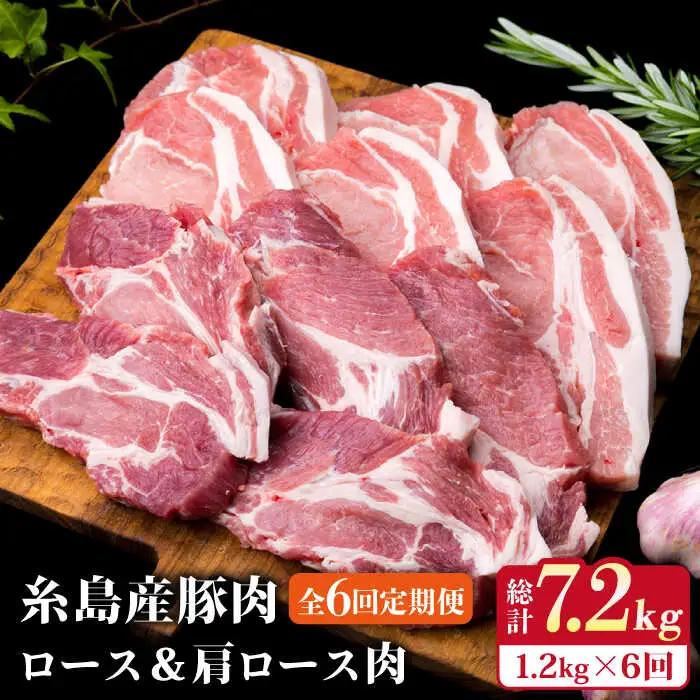 【全6回定期便】糸島豚ロース肉6枚 肩ロースカツ5枚 合計11枚セット 糸島市/糸島ミートデリ工房[ACA230]