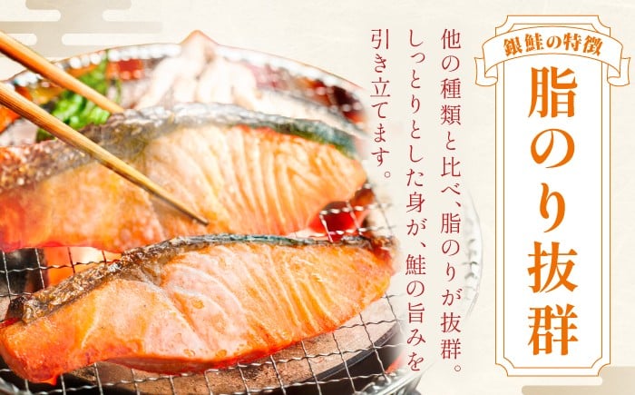 シャケ しゃけ 鮭 銀鮭 サーモン