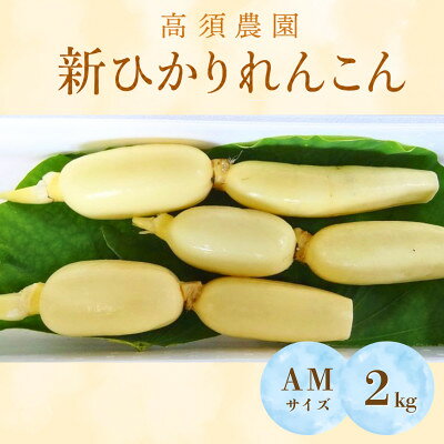 【ふるさと納税】新ひかりれんこん 2kg(3本～4本入り)AMサイズ 産地直送 浮島産れんこん【配送不可地域：離島・沖縄県】【1747040】