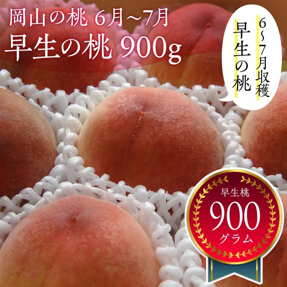 岡山の桃　6月 - 7月　早生の桃　900ｇ【6月下旬以降発送】
