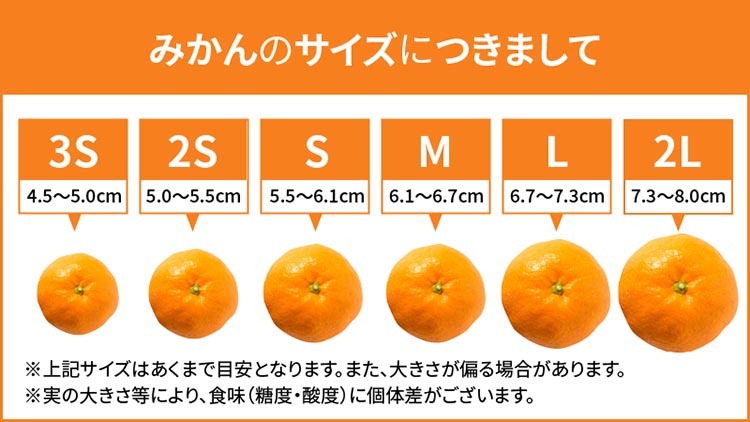 【先行予約】 田村みかん 約5kg 【Sサイズ】 和歌山県 湯浅町 田村地区産_イメージ2