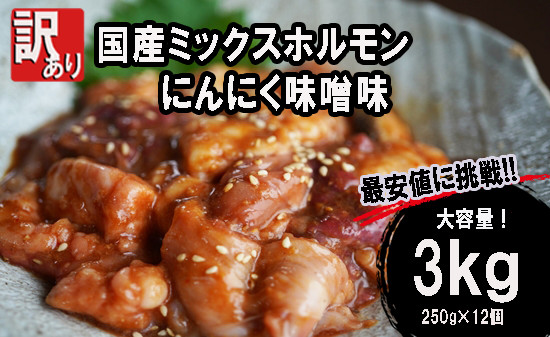 
            【 訳あり 】 国産牛 ミックスホルモン 3kg (250g×12) にんにく 味噌味 ミックス ホルモン 焼き 焼肉 味付 小分け 冷凍 味噌だれ 不揃い おつまみ 国産 牛 肉
          