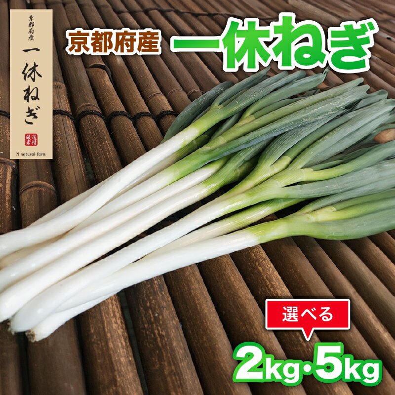 【ふるさと納税】 京都府産 一休ねぎ 選べる 2kg 5kg（12月以降順次発送） 白ねぎ 白ネギ 白葱 葱 ねぎ 野菜 やさい お取り寄せ 産地直送 鍋 新鮮 薬味 家庭用 業務用 国産 旬 井手町 京都
