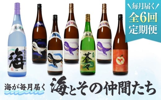 【全6回定期便】「海とその仲間たち」海が毎月届く　KN034-T02