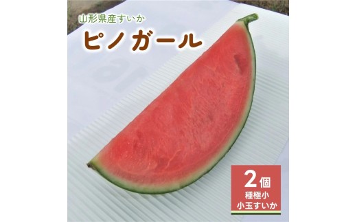 小玉すいか（ピノガール）２個　0030-2608