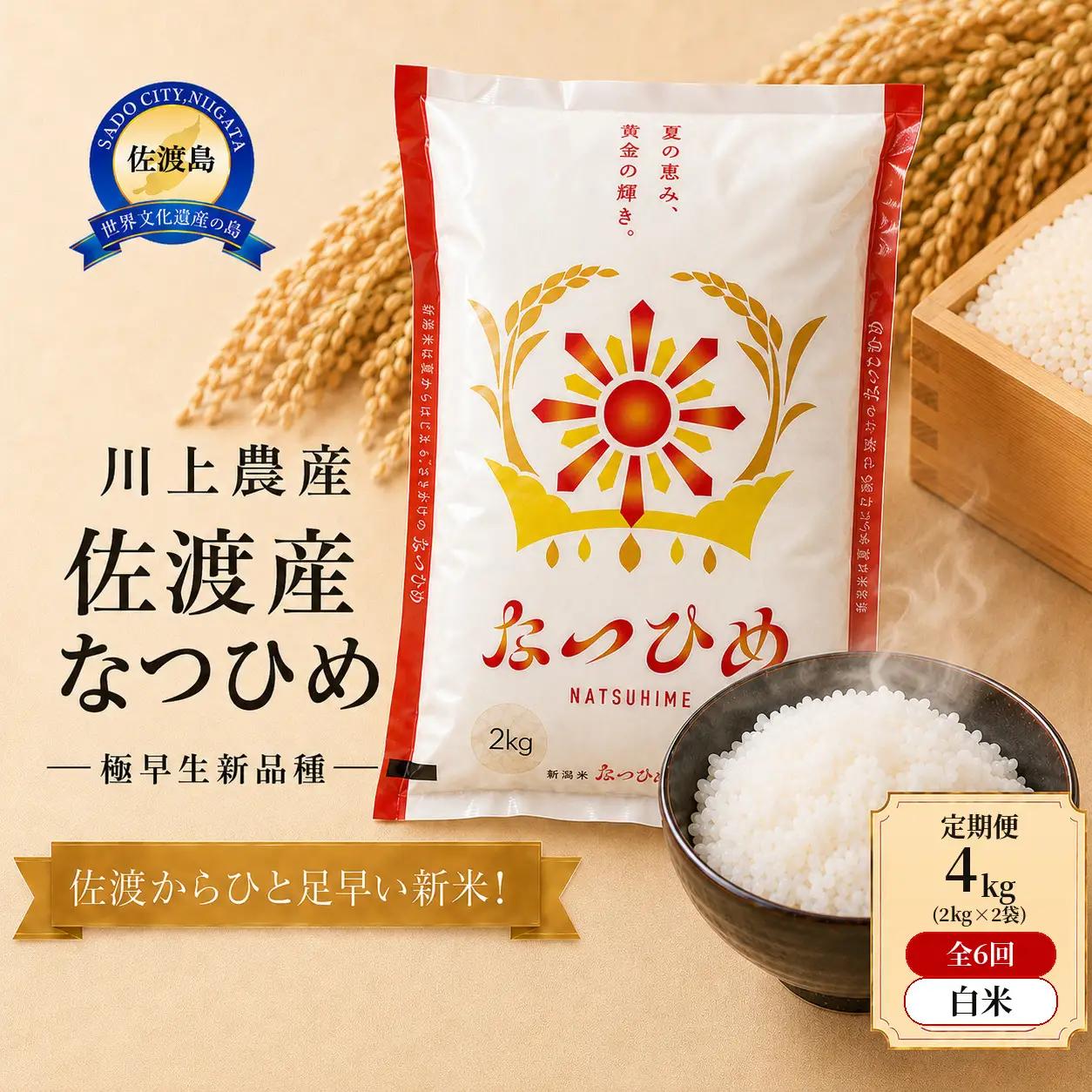【6か月定期便  なつひめ】令和8年産 佐渡産なつひめ 合計24kg（4kg(2kg×2袋)×全6回）精米 川上農産
