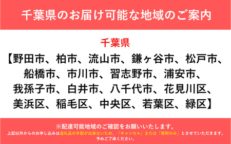 自転車 ビーチクルーザー Volt！ HURRICANE（PURPLE×YELLOW）