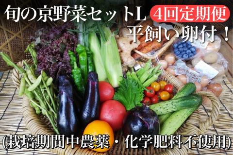 【4回定期便】＜アスカ有機農園＞旬の京野菜セットL（平飼い卵付）＊毎月お届け全4回≪定期便 ふるさと納税野菜 たまご≫