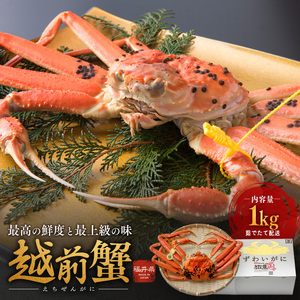 かに 茹で 1kg 1杯 越前がに ズワイガニ 魚介 かに