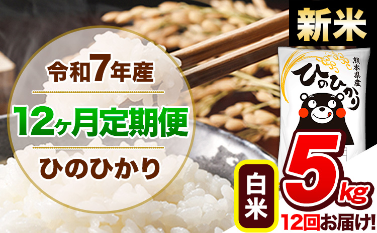 【12ヶ月定期便】新米 令和7年産 定期便 ひのひかり 白米 5kg 《11月から出荷開始》熊本県産 ふるさと納税 白米 精米 ひの 米 こめ ふるさとのうぜい ヒノヒカリ コメ 熊本米 ひのもり