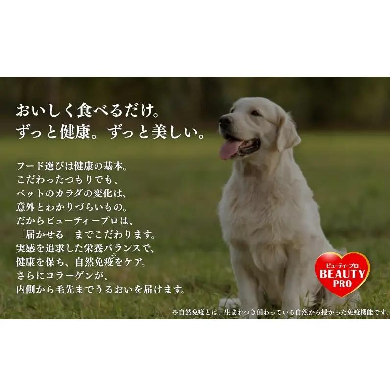 ビューティープロ ドッグ 食物アレルゲンに配慮 10歳以上 2.3kg ｘ4(ケース単位) ドッグフード
