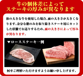 ＜14営業日以内に発送！＞＜1枚・計約250g＋ハンバーグ1個＞4等級以上！鹿児島県産黒毛和牛ロースステーキ1枚セット 黒毛和牛 ステーキ 冷凍【ナンチク】B1-01-v04