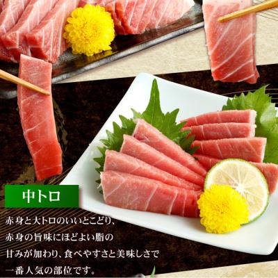 ふるさと納税 室戸市 【厳選天然本まぐろ】大トロ・中トロ・赤身 500g |  | 02