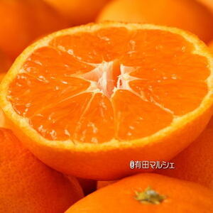 ＜12月上旬～＞濃厚有田みかん【サイズ混合】 4kg ※2024年12月上旬～下旬頃に順次発送予定【ard157A-2】