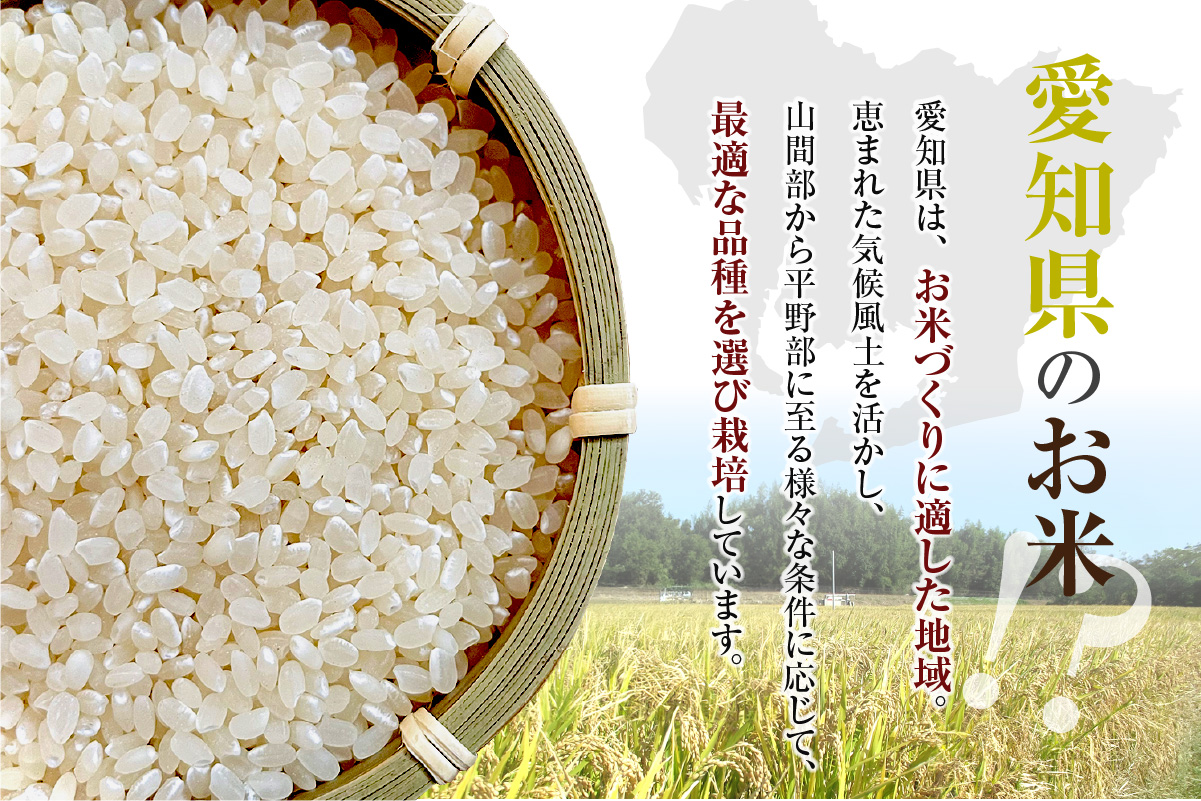 知多米あいちのこころ（5kg）│知多米 米 お米 あいちのこころ 精米 ブランド米 美味しい 国産 愛知県産 JAあいち知多 愛知県 常滑市