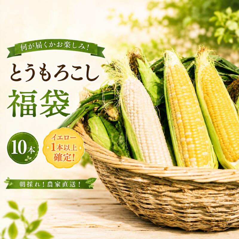 【ふるさと納税】 【先行予約】 【2026年11月~順次発送】 秋採れ 南国フルーツコーン福袋 10本 ( イエロー 、 ホワイト 、 バイカラー からランダム) ゴールドラッシュ とうもろこし トウモロコシ コーン おまかせ 詰め合わせ 新鮮 朝採れ 農家直送 バーベキュー
