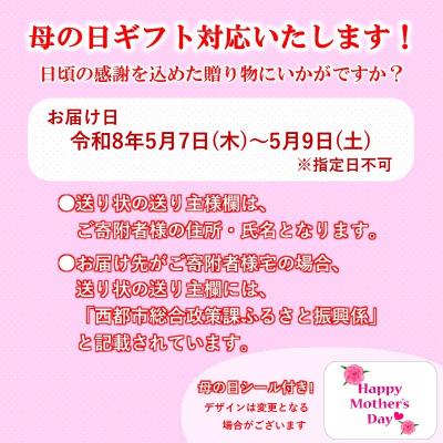 ふるさと納税 西都市 【母の日ギフト】えごまギフトセットC　西都市産生えごま油/えごま煎餅/えごま茶[2472] |  | 03