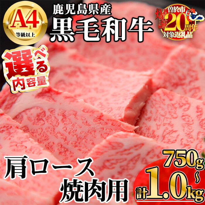 【ふるさと納税】【数量限定】＜内容量が選べる！＞鹿児島県産黒毛和牛A4等級以上肩ロース焼肉用 (合計750g＋黒毛和牛こま切れ250g×1P・合計1.0kg＋黒毛和牛こま切れ250g×2P) 国産 鹿児島県産 牛 小分け 冷凍 肩ロース 焼肉【KNOT】