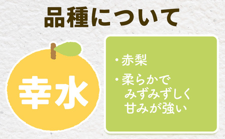 【2026年先行予約】とっくんちの梨 幸水 約3kg 鈴木農園《8月上旬-8月下旬頃出荷》茨城県 結城市 数量限定 果物 フルーツ 甘み ジューシー 豊か 芳香 しゃりっ 爽やかな 季節【配送不可地域