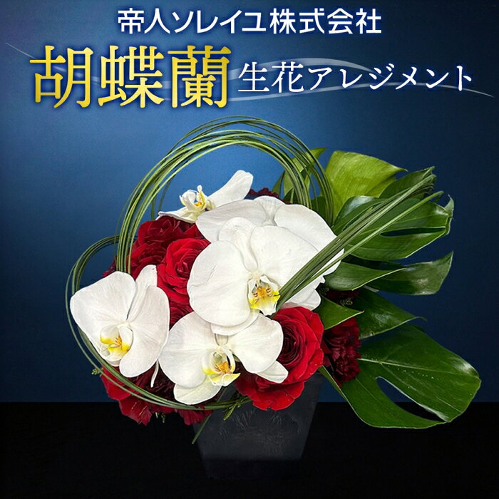 【ふるさと納税】【帝人ソレイユ】055（コ）胡蝶蘭　生花アレンジメント　配送不可地域：離島　《30日以内に出荷予定(土日祝除く)》