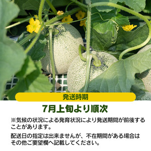 【令和8年産先行予約】 お楽しみメロン 3玉セット 2Lサイズ 山形県庄内産 アンデスメロン・鶴姫メロン・鶴姫レッドメロン の中から3玉お届け 食べ比べ　JA鶴岡 K-836　| メロン めろん フル