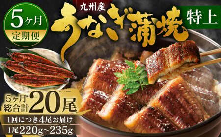 【5ヶ月定期便】九州産 うなぎ蒲焼 特上 4尾 (1尾あたり220～235g) 合計20尾 たれ 山椒 鰻 ウナギ 蒲焼き 国産 冷凍 鹿児島、宮崎、熊本等産うなぎ原料使用 DB