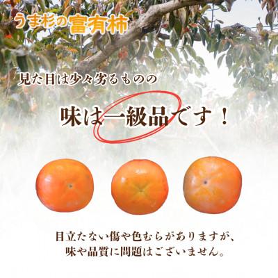 ふるさと納税 瑞穂市 うま杉の富有柿 3L (岐阜県瑞穂市産富有柿) |  | 01