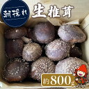 【ふるさと納税】【先行予約】朝採れ 生椎茸 800g以上 生しいたけ 生シイタケ 原木栽培 茸 きのこ 大分県産 九州産 中津市 国産 送料無料【発送は2024年3月下旬までの予定】