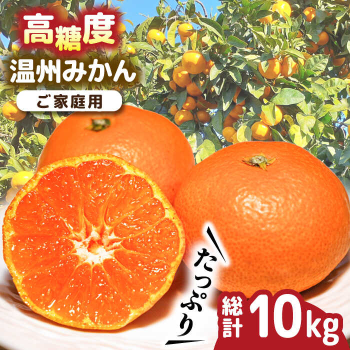 【ふるさと納税】【2025年11月下旬〜発送】【高糖度】 温州みかん 約10kg / みかん ミカン 蜜柑 長崎県産みかん 糖度 果物 くだもの フルーツ ふるーつ 旬 家庭用 10kg 果物 フルーツ 柑橘 蜜柑 ミカン くだもの mikan 国産 家庭用 / 南島原市 / 南島原果物屋 [SCV012]