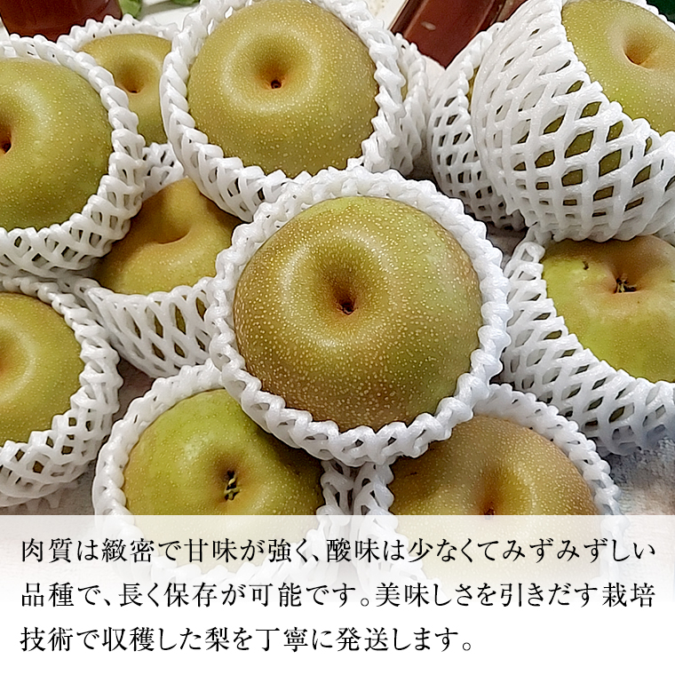 にっこり梨 3kg 【10月発送開始】 梨 ナシ なし 果物 フルー
