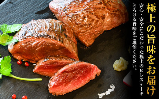 馬肉 ステーキ ウマウマ 純国産 馬 ヒレ ステーキ 200g 有限会社九州食肉産業《90日以内に出荷予定(土日祝除く)》熊本県 産山村 純国産 国産 熊本肥育 馬肉 馬ヒレ 馬ヒレステーキ 絶品 ヘ