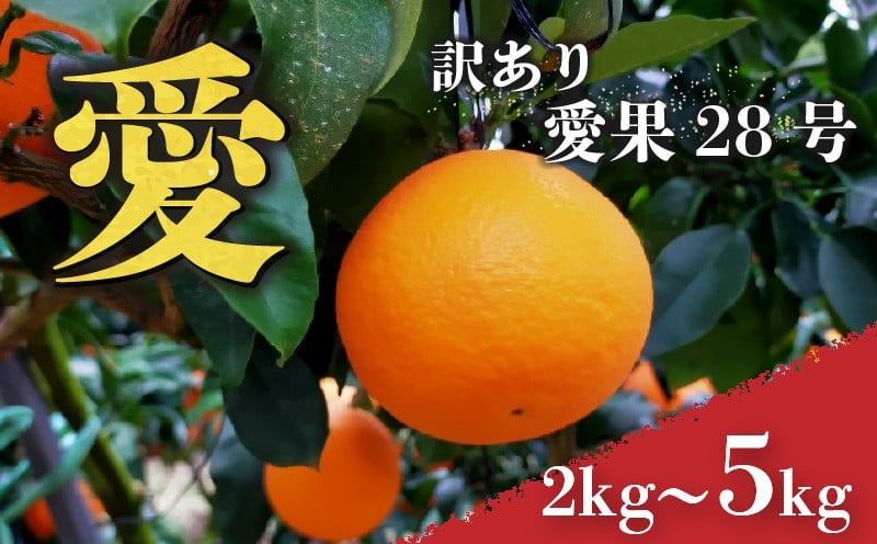 
            愛媛 みかん 愛果28号 訳あり ご家庭用 2kg / 3kg / 5kg あいか 【先行予約 2025年12月上旬から発送】 |  紅まどんな と同品種 柑橘 みかん まどんな ワケアリ 柑橘 みかん 果物  おすすめ 高級 人気 お取り寄せ グルメ ギフト ご当地 送料無料 愛媛県 松山市
          