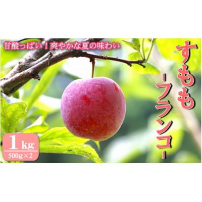 ふるさと納税 田辺市 先行予約 すもも(フランコ)1kg ※6月中旬〜順次発送予定 / 果物【mtm008-1】